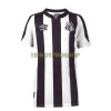 Original Fußballtrikot Santos FC Auswärtstrikot 2022-23 Für Herren